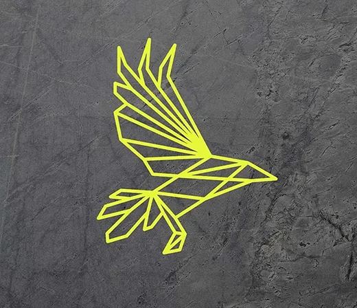Raven Trigger-point Therapy Logo